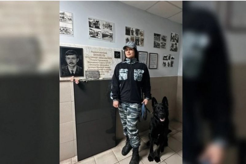 ��� ���� ����������� � ������� ������� ��������� ������: ��� ������ ������� �� ���� ���������