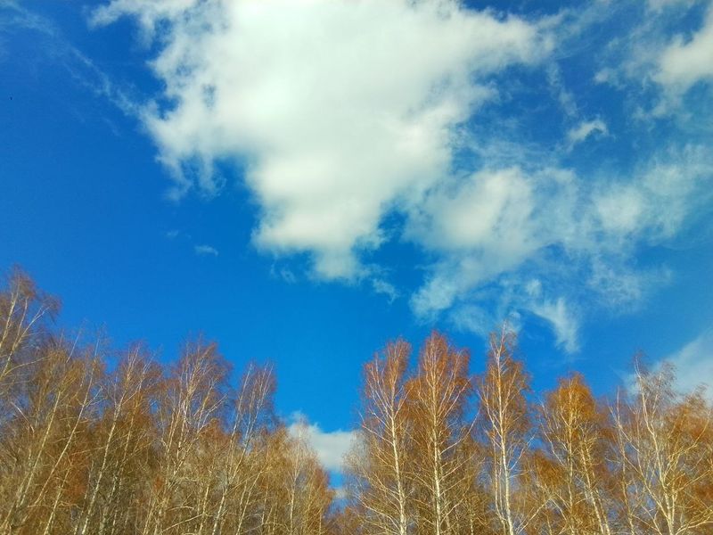 � ��������� ������� ������ ���������� �� ���� 21 �������, ��� �����