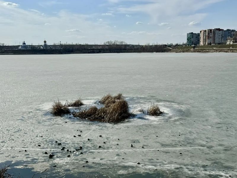 ������ � ������� � ��������� ����� ����� ��������� �� ������