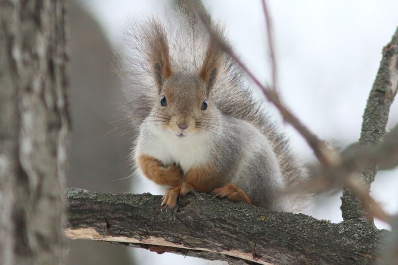 � ������� ��������� ����� ������ �������� ����, ������� ����������� ����� � ���������� ���������� ������