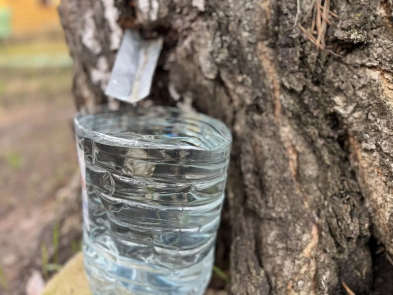 � ���� ������ �������� ������� � ��������� ��� ������� ����� � ��������