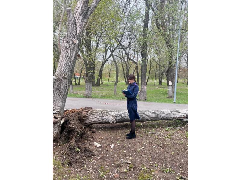 � ������ ������� ������ �������� ��������� 14-������ �������