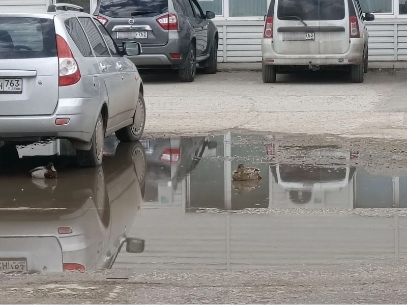 � ������� ����� ����� �������������� � ���� �� ����� - ��������, �� ����� ������