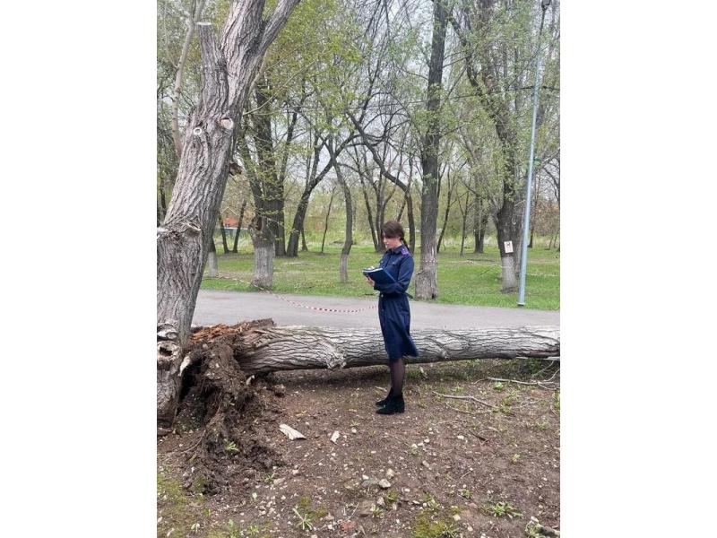 �������, ����, ������ ����������!� �������, �� ������� ������� ������, �� ���������� �������� ������