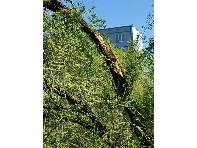����� ������ �������� ������� ������ ����� �������� ���� ������� - ���� ����� �������, ������ �������� ��� ������� �����
