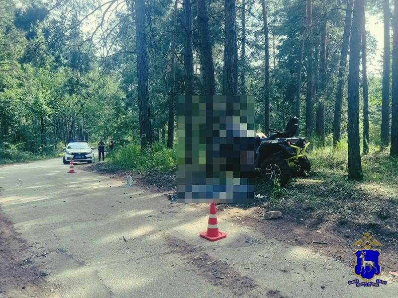 В жестком ДТП в лесу выжил только один человек