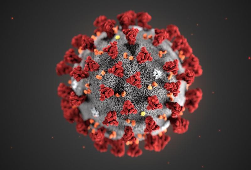 В Роспотребнадзоре назвали единственный способ определить коронавирусную инфекцию у человека