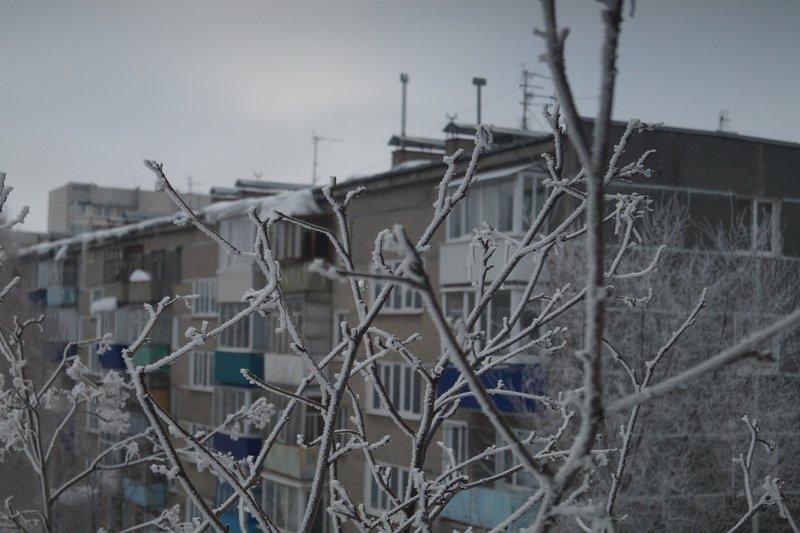 Синоптики не исключают выпадение мокрого снега в ближайшие несколько часов