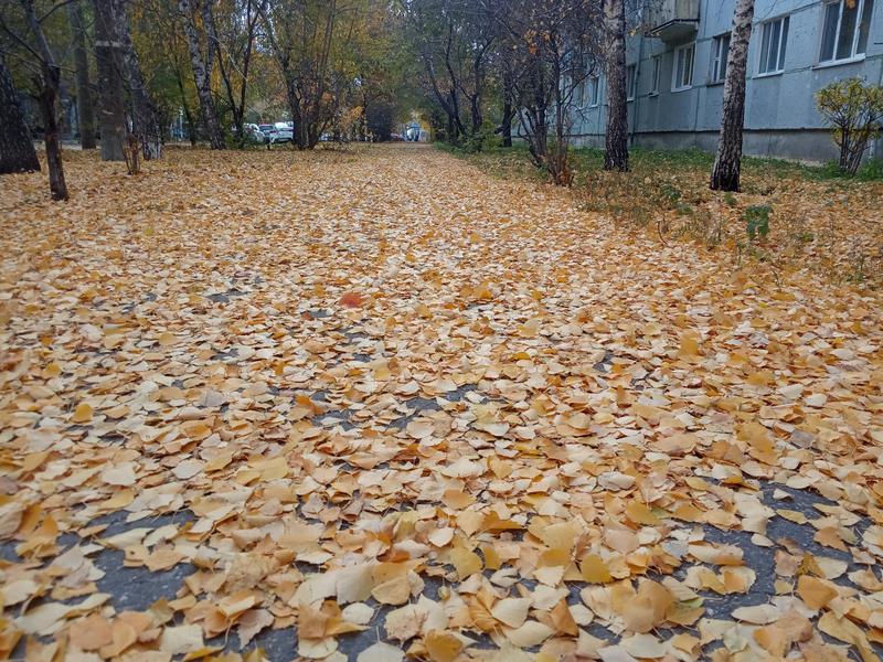 В регион возвращается тепло - днем столбики термометров порадуют градусами